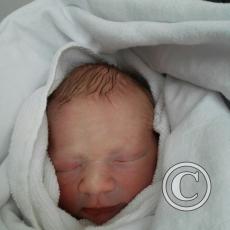 IMG_20160729_120025_new